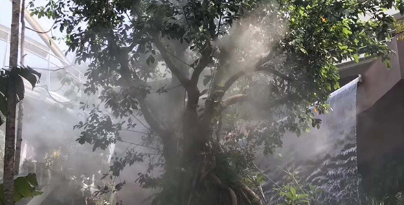 延慶世園會霧噴項目